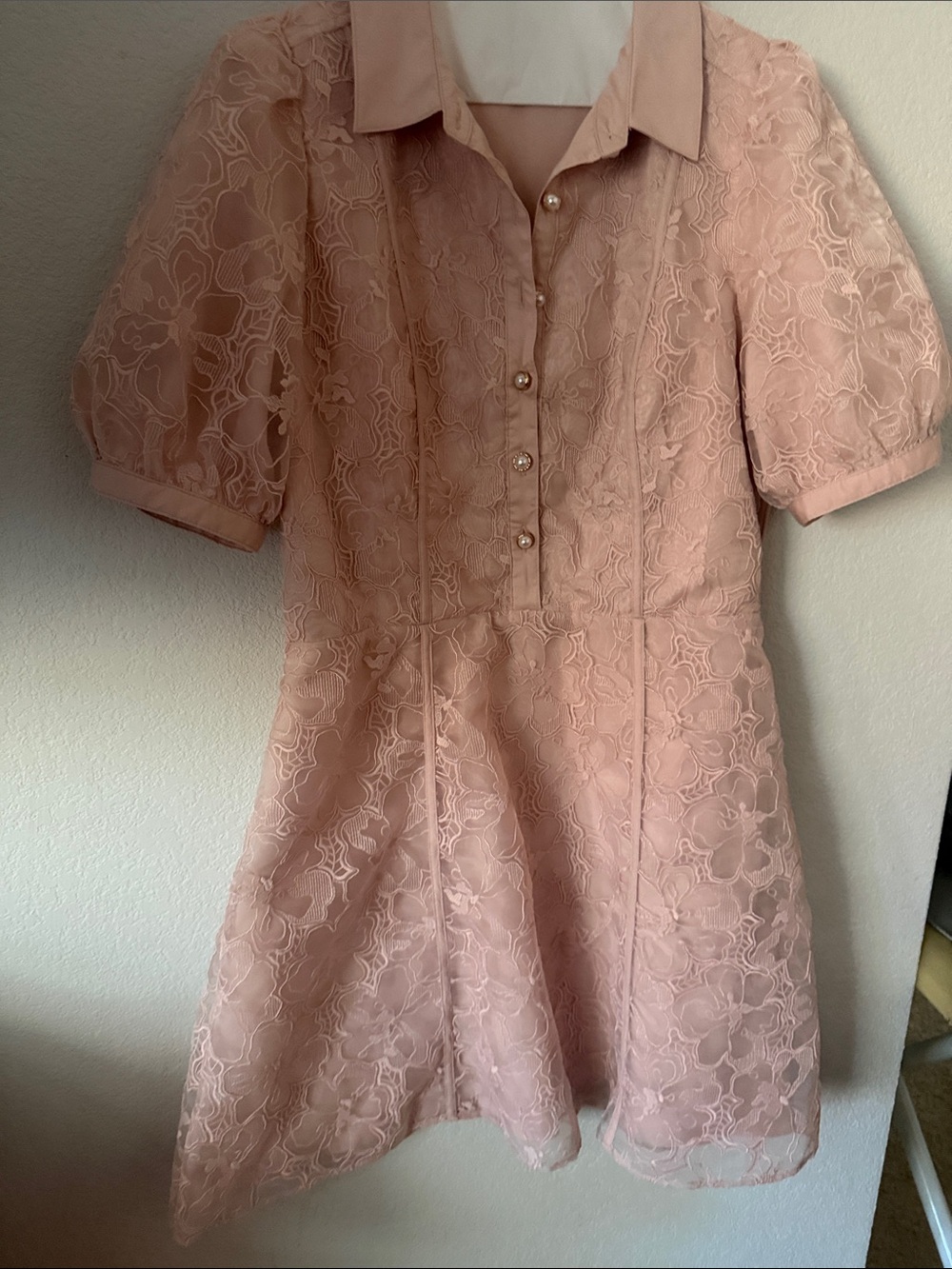Chelsea28 Blush Lace Pearl-Button Mini Dress